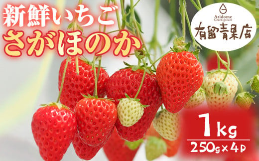 【0113605a】自慢の農家×老舗青果店の新鮮いちご・さがほのか(250g以上×4P) イチゴ 苺 フルーツ 果物 果実 数量限定 期間限定【有留青果】