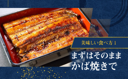 【全3回定期便】老舗うなぎ屋「三昌亭」の鹿児島県産うなぎかば焼き 150g×2セット　A040-T01