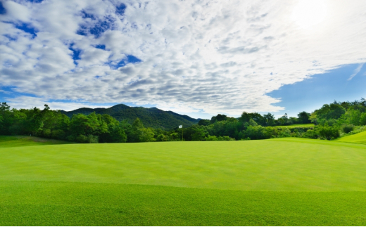 サンロイヤルゴルフクラブ 平日 1名様 プレー券 [ サンロイヤルGC ゴルフ 加東市 兵庫県 関西 ゴルフ場 ]