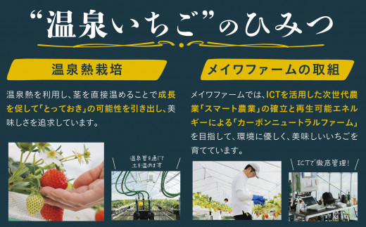 1173 鳥取県産とっておき「温泉いちご」大きさいろいろ詰め合わせ 1キロ