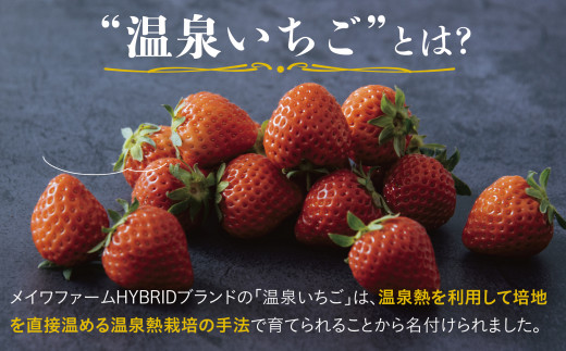 1173 鳥取県産とっておき「温泉いちご」大きさいろいろ詰め合わせ 1キロ