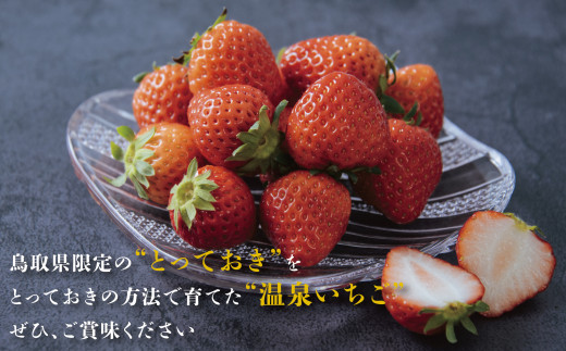 1173 鳥取県産とっておき「温泉いちご」大きさいろいろ詰め合わせ 1キロ