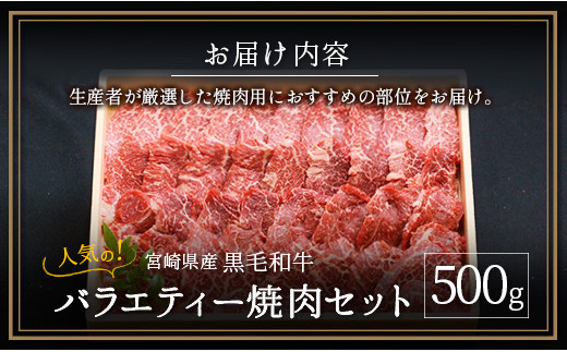 宮崎県産黒毛和牛バラエティー焼肉セット 500g【B492】