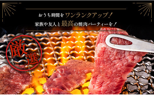 宮崎県産黒毛和牛バラエティー焼肉セット 500g【B492】