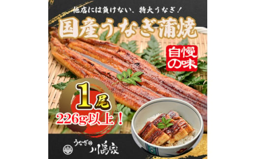 ＜冷凍1尾＞岬町自慢の味　うなぎの川島家　国産うなぎ蒲焼　特大サイズ(226g以上)特製タレ付き【1488342】