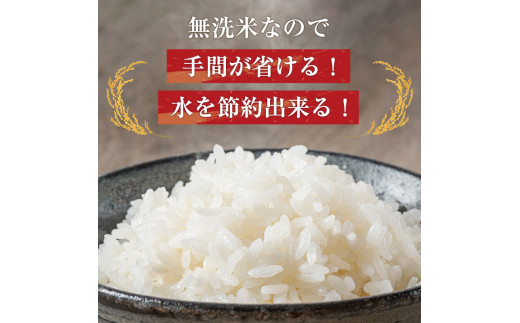 令和6年産 福岡県産 ブランド米「夢つくし」無洗米 計20kg [a8249] 株式会社 ゼロプラス 【返礼品】添田町 ふるさと納税