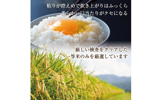 令和6年産 福岡県産 ブランド米「夢つくし」無洗米 計20kg [a8249] 株式会社 ゼロプラス 【返礼品】添田町 ふるさと納税