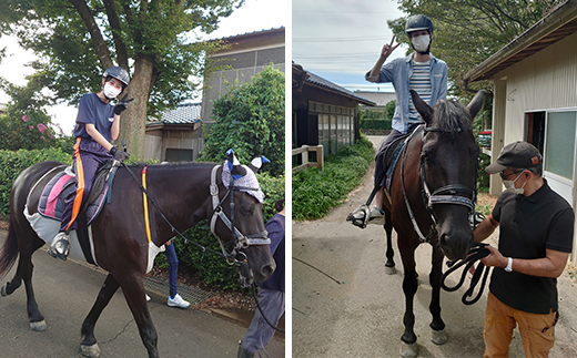 43-01 ヒポトピア １回騎乗券【乗馬 ホースセラピー 馬 ふれあい レッスン 阿見町 茨城県】