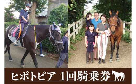 43-01 ヒポトピア １回騎乗券【乗馬 ホースセラピー 馬 ふれあい レッスン 阿見町 茨城県】