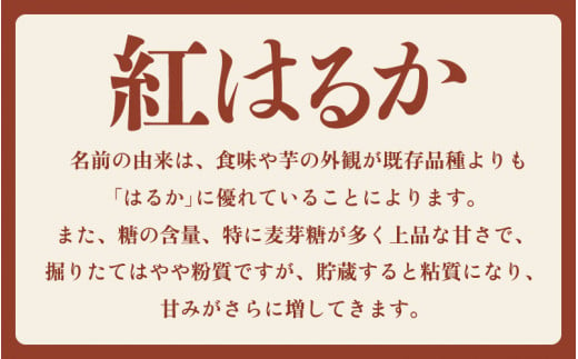 大谷原の熟成さつまいも (3kg 土付き) 約15本 【入手困難・数量限定】【サツマイモ 芋 イモ 紅はるか べにはるか 熟成 甘い おいしい 国産 産地直送】 [m23-a002]