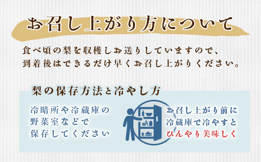 354 にっこり梨 約5kg 8～12玉 4L～6L 梨 なし 先行予約 【2024年 10月上旬ころより順次発送予定】