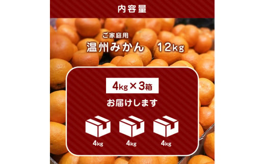 たまな産 温州 みかん 12kg ( 4kg × 3箱 ） | フルーツ 果物 くだもの 柑橘 ミカン 温州みかん 温州ミカン 熊本県 玉名市