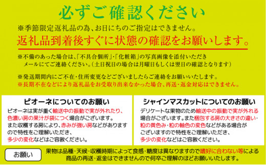 [№5911-0237]【2024年先行予約】旬の採れたてフルーツ定期便（2回便）