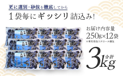 砂抜き済みで手間いらず！冷凍・小川原湖産大和しじみ3kg（250g×12袋）　【02408-0086】