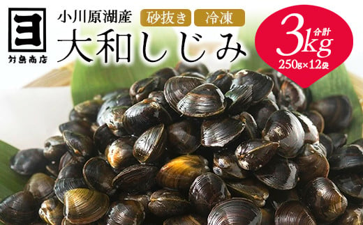 砂抜き済みで手間いらず！冷凍・小川原湖産大和しじみ3kg（250g×12袋）　【02408-0086】