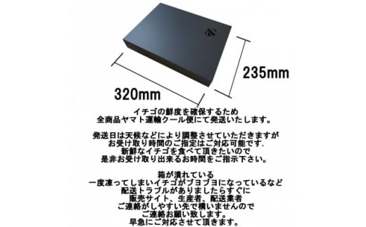 ＜冬イチゴシーズン先行受付＞品種おまかせ　希少な南信州産　アルプスイチゴ　1箱に大粒12～15粒【1381020】