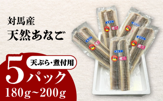 対馬産　あなご　天ぷら・煮付用　5パック　《対馬市》【対馬新鮮組】　冷凍配送　小分け　アナゴ　新鮮　海鮮　冷凍 簡単調理 [WCS011]