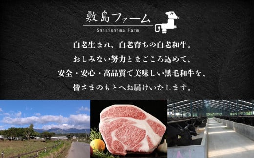 北海道産白老和牛　とろける舌触りの和牛フレーク