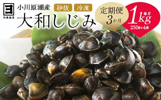 【 3ヵ月定期便 】砂抜き済みで手間いらず！冷凍・小川原湖産大和しじみ1kg（250g×4袋）　【02408-0089】