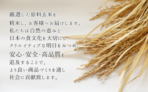 【定期便6回】 令和5年産 南関郷のお米 「ひのひかり」5kg 熊本県産 | 熊本県 和水町 くまもと なごみまち なごみ ヒノヒカリ ひのひかり 無洗米 乾式無洗米 米 単一原料米 5kg 南関郷 菊池川流域 定期便 定期 6回