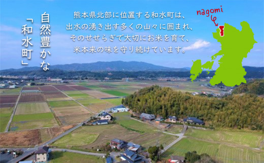 【定期便6回】 令和5年産 南関郷のお米 「ひのひかり」5kg 熊本県産 | 熊本県 和水町 くまもと なごみまち なごみ ヒノヒカリ ひのひかり 無洗米 乾式無洗米 米 単一原料米 5kg 南関郷 菊池川流域 定期便 定期 6回