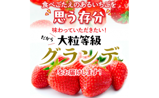 MZ056 福岡県産 あまおう 540g　先行予約 2025年1月～3月末にかけて順次発送予定