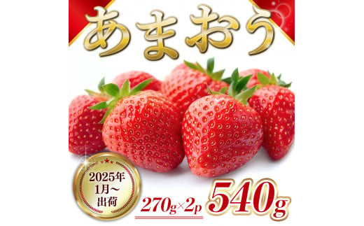 MZ056 福岡県産 あまおう 540g　先行予約 2025年1月～3月末にかけて順次発送予定