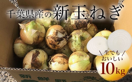 【先行受付】千葉県産 新玉ねぎ10kg 生でもおいしい！【令和7年5月上旬から順次発送】 玉ネギ たまねぎ タマネギ 玉葱 新玉ねぎ 野菜 千葉県 大網白里市 送料無料