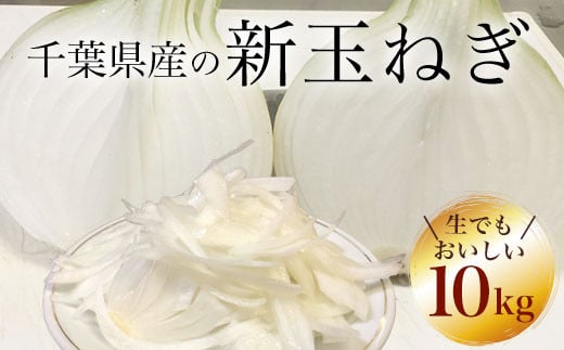 【先行受付】千葉県産 新玉ねぎ10kg 生でもおいしい！【令和7年5月上旬から順次発送】 玉ネギ たまねぎ タマネギ 玉葱 新玉ねぎ 野菜 千葉県 大網白里市 送料無料