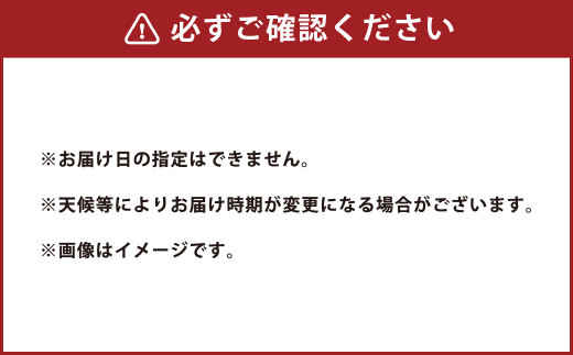 【2023年1月下旬発送開始】 熊本県産 葉付きたまねぎ 【約6kg Lサイズ20本入り】