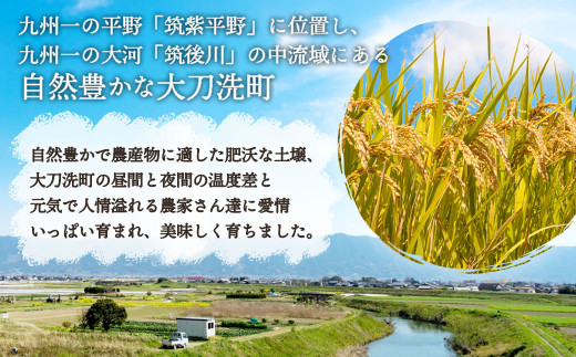 【3回定期便】｢筑後平野のふくよか米｣ 無洗米 14kg(5kg×2袋、2kg×2袋)×3回 合計42kg