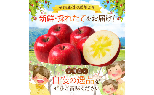 *2024年 先行予約 外川果樹園 訳あり 安曇野松川村の 陽光 約 10kg ｜ リンゴ りんご 林檎 果物 フルーツ 果実 果汁 陽光 ようこう わけあり 訳アリ 長野県 松川村 信州