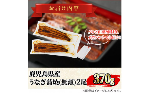 【0154302a】＜特大＞うなぎ蒲焼き(無頭)(2尾・計約370g・タレ、山椒付)うなぎ 高級 ウナギ 鰻 国産 蒲焼 蒲焼き たれ 鹿児島 ふるさと 人気【アクアおおすみ】