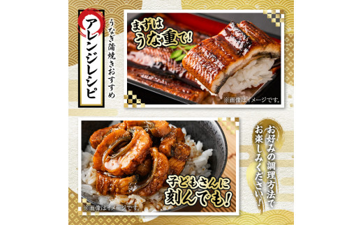 【0154302a】＜特大＞うなぎ蒲焼き(無頭)(2尾・計約370g・タレ、山椒付)うなぎ 高級 ウナギ 鰻 国産 蒲焼 蒲焼き たれ 鹿児島 ふるさと 人気【アクアおおすみ】