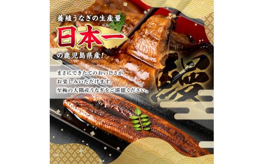 【0154302a】＜特大＞うなぎ蒲焼き(無頭)(2尾・計約370g・タレ、山椒付)うなぎ 高級 ウナギ 鰻 国産 蒲焼 蒲焼き たれ 鹿児島 ふるさと 人気【アクアおおすみ】