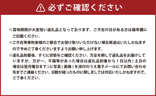 えだまめ （秘伝） 約2kg （約250g✕8） 枝豆 大粒 豆類 【2024年9月上旬～10月上旬発送予定】 