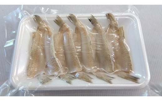 鮮度抜群！お魚おまかせ食べきり６パック・下処理加工してあるので解凍してすぐに調理できます。
※着日指定不可
※北海道・沖縄・離島への配送不可