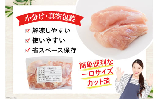 鶏肉 もも肉 若鶏 切身 300g ×10p 計 3kg [九州児湯フーズ 宮崎県 美郷町 31ai0010] 小分け もも 冷凍 モモ 鶏 真空 鳥 国産 宮崎 カット