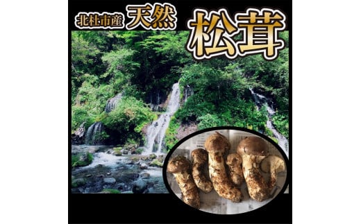 『極上天然松茸』（200g）　山梨県北杜市産・朝採り・産地直送