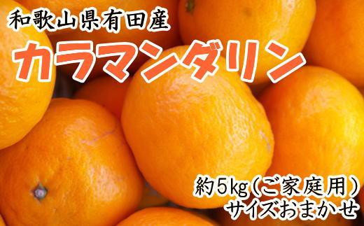 【ご家庭用】【濃厚春みかん】和歌山県有田産カラマンダリン約5kg（サイズおまかせ）2025年4月より順次発送 【TM141】