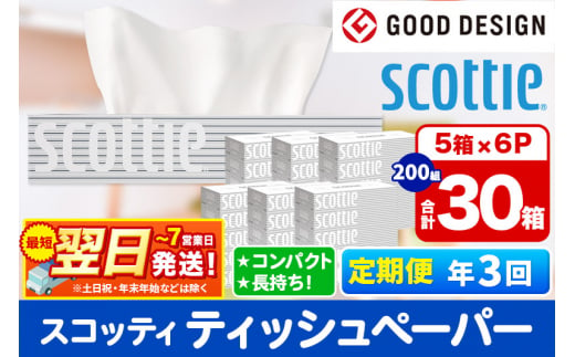 《4ヶ月ごとに3回お届け》定期便 ティッシュペーパー スコッティ 200組 30箱(5箱×6パック) ティッシュ 秋田市オリジナル【レビューキャンペーン中】