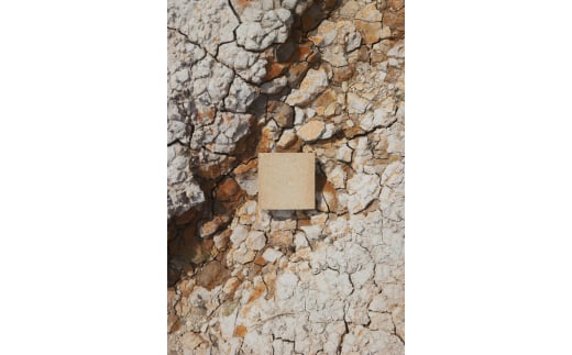 フラワーベース Clay Flower Vase (SAND) 瑞浪市 / 織部製陶 花瓶 一輪挿し 陶器 ガラス [AZAO002]