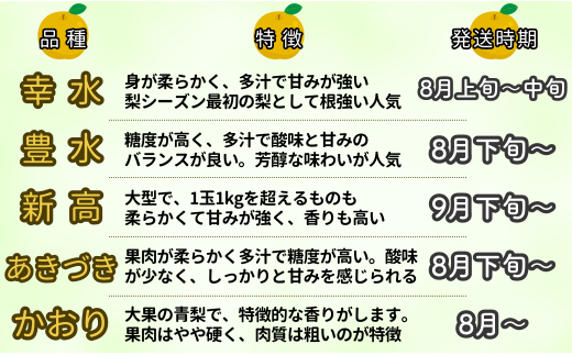 ※先行予約※【あきづき3kg】かまがや育ちの完熟梨（観光組合）