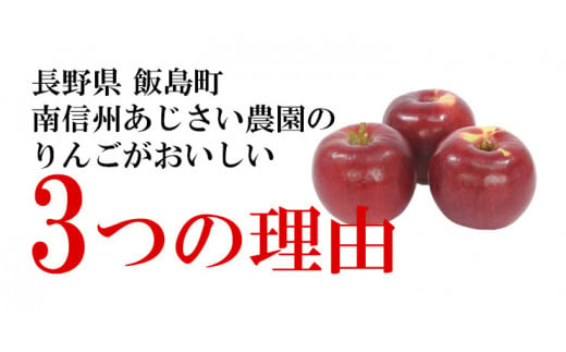 【南信州あじさい農園】林檎果汁（無添加りんごジュース） 6本入り