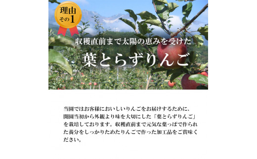 【南信州あじさい農園】林檎果汁（無添加りんごジュース） 6本入り