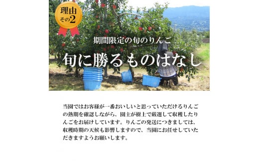 【南信州あじさい農園】林檎果汁（無添加りんごジュース） 6本入り