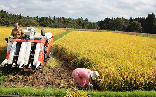 令和6年産 金山産米 はえぬき 【玄米】（5kg）米 お米 ご飯 玄米 ブランド米 送料無料 東北 山形 金山町 F4B-0563