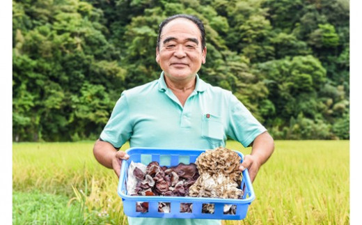 低カロリー＆栄養満点！阿蘇・南小国産の肉厚生きくらげ（140g×5パック） 南小国産 肉厚 生きくらげ 140g 5パック 700g きくらげ キクラゲ 生 国産 低カロリー 栄養満点 熊本 阿蘇 南小国町 送料無料