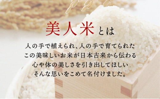 令和6年産新米【美人米】玄米10kg 【千葉県神崎町産】[002-a002]