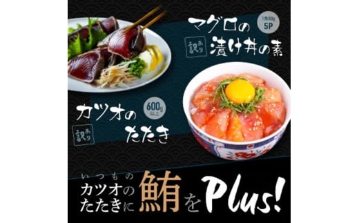 訳あり カツオたたき 約600g+マグロ漬け丼の素 約80gx5パック